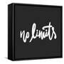 No Limits. Hand Lettering and Custom Typography for Your Designs: T-Shirts, Bags, for Posters,-Veronika M-Framed Stretched Canvas