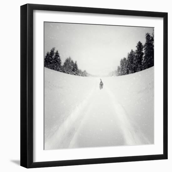 No Me Dejes-Luis Beltran-Framed Photographic Print