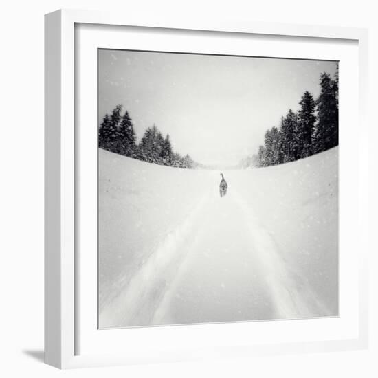 No Me Dejes-Luis Beltran-Framed Photographic Print