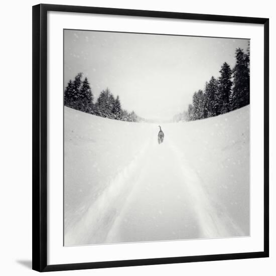 No Me Dejes-Luis Beltran-Framed Photographic Print