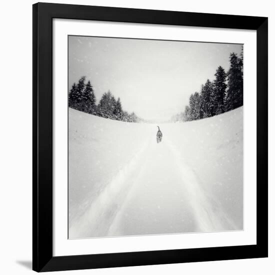 No Me Dejes-Luis Beltran-Framed Photographic Print