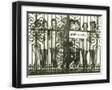 Black Frame
