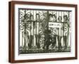 Brown Frame