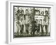White Frame