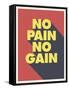 No Pain No Gain-null-Framed Stretched Canvas