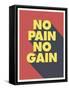 No Pain No Gain-null-Framed Stretched Canvas