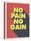 No Pain No Gain-null-Stretched Canvas