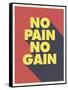 No Pain No Gain-null-Framed Stretched Canvas