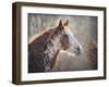 No Sharing Horse-Jai Johnson-Framed Giclee Print