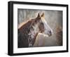 No Sharing Horse-Jai Johnson-Framed Giclee Print