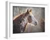 No Sharing Horse-Jai Johnson-Framed Giclee Print