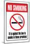 No Smoking Sign-null-Mounted Poster