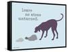 No Stone Unturned-Dog is Good-Framed Stretched Canvas