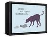 No Stone Unturned-Dog is Good-Framed Stretched Canvas