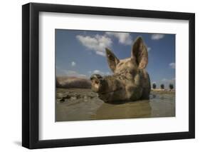 No Stress-Gert Van Den-Framed Photographic Print