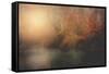 No Time-Philippe Sainte-Laudy-Framed Stretched Canvas