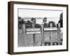 No Trespassers Allowed-null-Framed Photographic Print