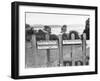 No Trespassers Allowed-null-Framed Photographic Print