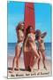 No Waves But Lots of Curves, Three Surfer Girls-null-Mounted Art Print