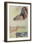 Noa Noa (Printed Books)-Paul Gauguin-Framed Giclee Print