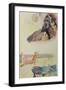 Noa Noa (Printed Books)-Paul Gauguin-Framed Giclee Print