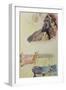 Noa Noa (Printed Books)-Paul Gauguin-Framed Giclee Print