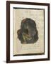 Noa-Noa-Paul Gauguin-Framed Giclee Print