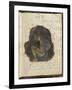 Noa-Noa-Paul Gauguin-Framed Giclee Print