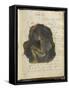 Noa-Noa-Paul Gauguin-Framed Stretched Canvas
