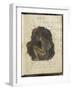 Noa-Noa-Paul Gauguin-Framed Giclee Print