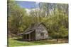 Noah 'Bud' Ogle Cabin in Spring, Great Smoky Mountains National Park, Tennessee-Adam Jones-Stretched Canvas