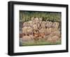 Noah - Elephants-Rhinos-Hippos-Bill Bell-Framed Giclee Print