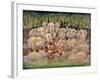 Noah - Elephants-Rhinos-Hippos-Bill Bell-Framed Giclee Print