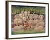 Noah - Elephants-Rhinos-Hippos-Bill Bell-Framed Giclee Print