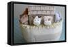 Noah's Ark Cows Close Up-null-Framed Stretched Canvas