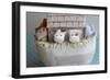 Noah's Ark Cows Close Up-null-Framed Photographic Print