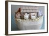 Noah's Ark Cows Close Up-null-Framed Photographic Print