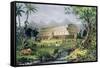 Noah's Ark, Pub. by Currier and Ives, New York-Napoleon Sarony-Framed Stretched Canvas