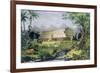 Noah's Ark, Pub. by Currier and Ives, New York-Napoleon Sarony-Framed Giclee Print