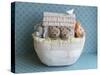 Noah's Ark Side View Bears-null-Stretched Canvas