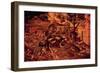 Noah's Ark (The Flood)-null-Framed Giclee Print