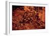 Noah's Ark (The Flood)-null-Framed Giclee Print