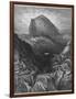 Noah's Ark-Gustave Dor?-Framed Photographic Print