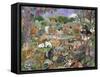 Noah’s Ark-Carol Salas-Framed Stretched Canvas