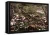 Noah's Ark-Francesco Bassano-Framed Stretched Canvas