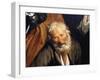 Noah's Drunkenness-Giovanni Andrea De Ferrari-Framed Giclee Print