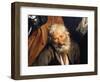 Noah's Drunkenness-Giovanni Andrea De Ferrari-Framed Giclee Print