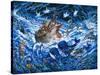 Noah's Voyage-Bill Bell-Stretched Canvas