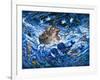 Noah's Voyage-Bill Bell-Framed Giclee Print