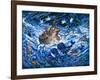 Noah's Voyage-Bill Bell-Framed Giclee Print